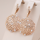 Elegant Earrings with Round Bars & Cubic Zirconia