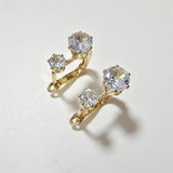 Earrings with European & American Zircon
