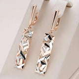 Rectangular Drop Earrings in Gold & Silver